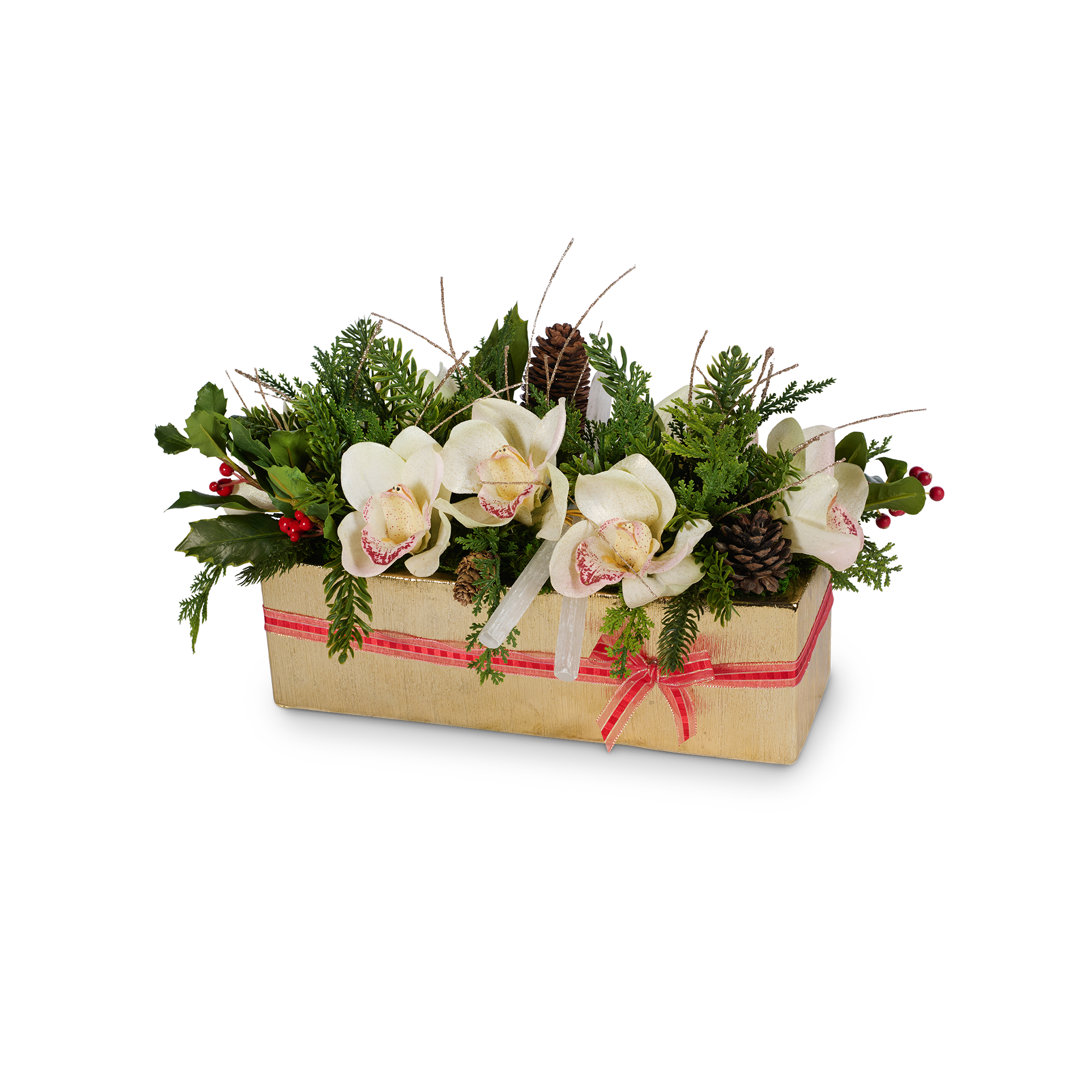 T&C Floral Company Home Decor White Holiday Orchids in Gold Rectangle Container