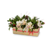 T&C Floral Company Home Decor White Holiday Orchids in Gold Rectangle Container