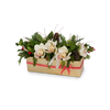 T&C Floral Company Home Decor White Holiday Orchids in Gold Rectangle Container