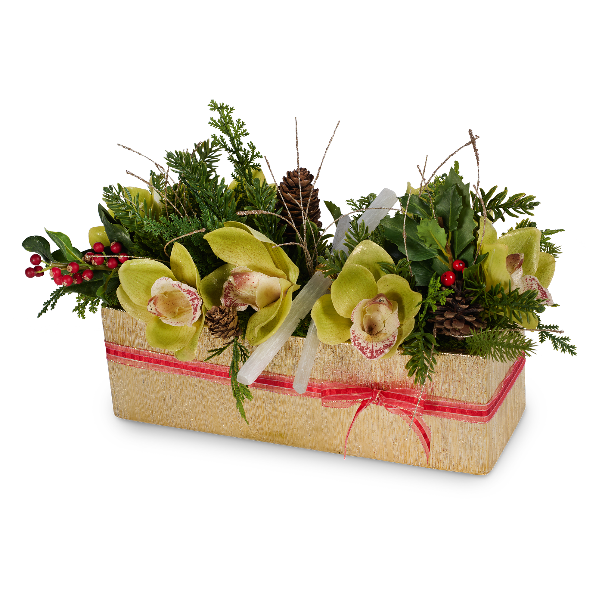 T&C Floral Company Home Decor Green Holiday Orchids in Gold Rectangle Container