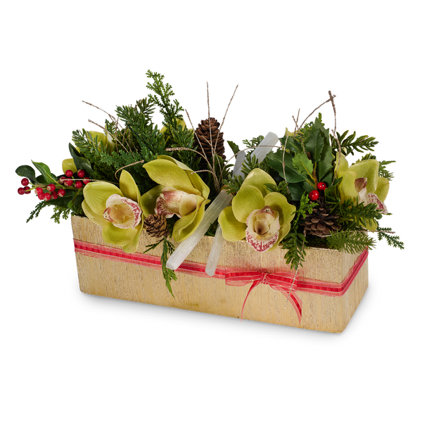 T&C Floral Company Home Decor Green Holiday Orchids in Gold Rectangle Container