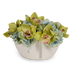 T&C Floral Company Home Decor Green Hydrangea & Orchid White Container with Selenite