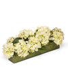 T&C Floral Company Home Decor Cream Hydrangeas in Glass Box