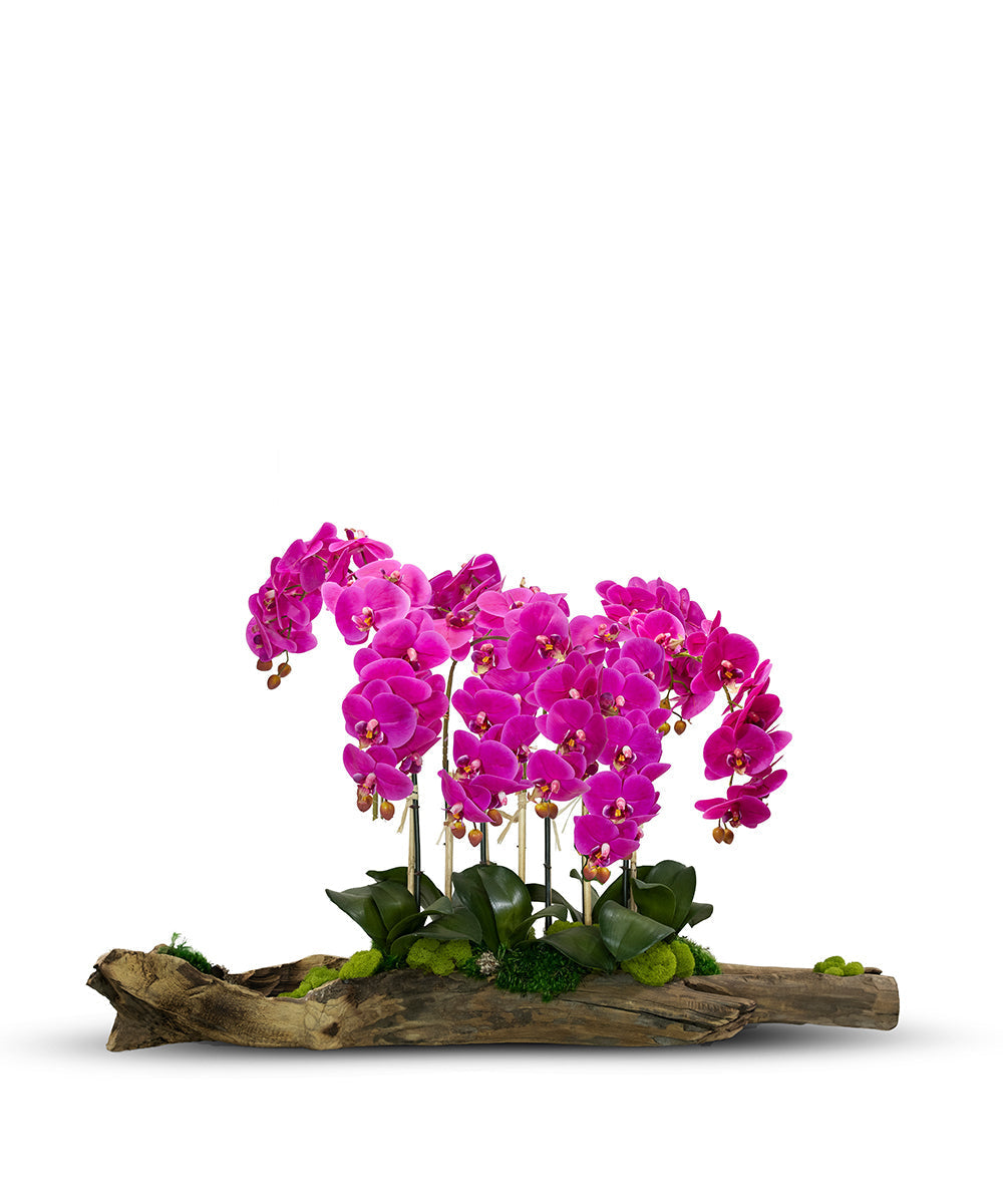 T&C Floral Company Home Decor Fuschia Large Log Filled with Orchids