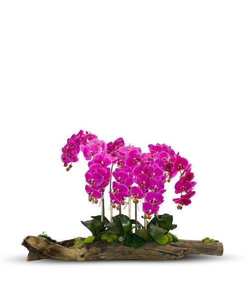 T&C Floral Company Home Decor Fuschia Large Log Filled with Orchids