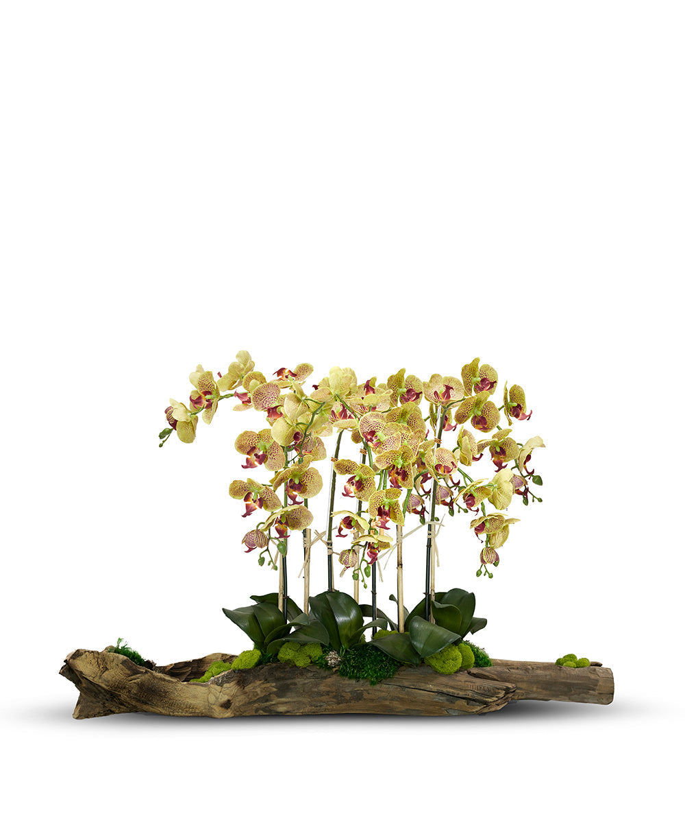 T&C Floral Company Home Decor Green Large Log Filled with Orchids