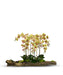 T&C Floral Company Home Decor Green Large Log Filled with Orchids