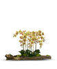 T&C Floral Company Home Decor Green Large Log Filled with Orchids