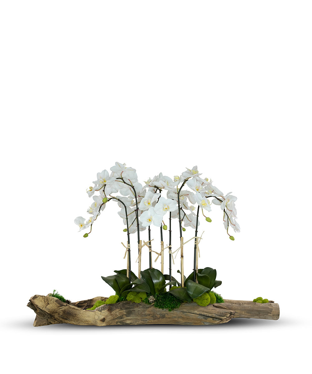 T&C Floral Company Home Decor White Large Log Filled with Orchids