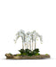 T&C Floral Company Home Decor White Large Log Filled with Orchids