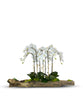 T&C Floral Company Home Decor White Large Log Filled with Orchids