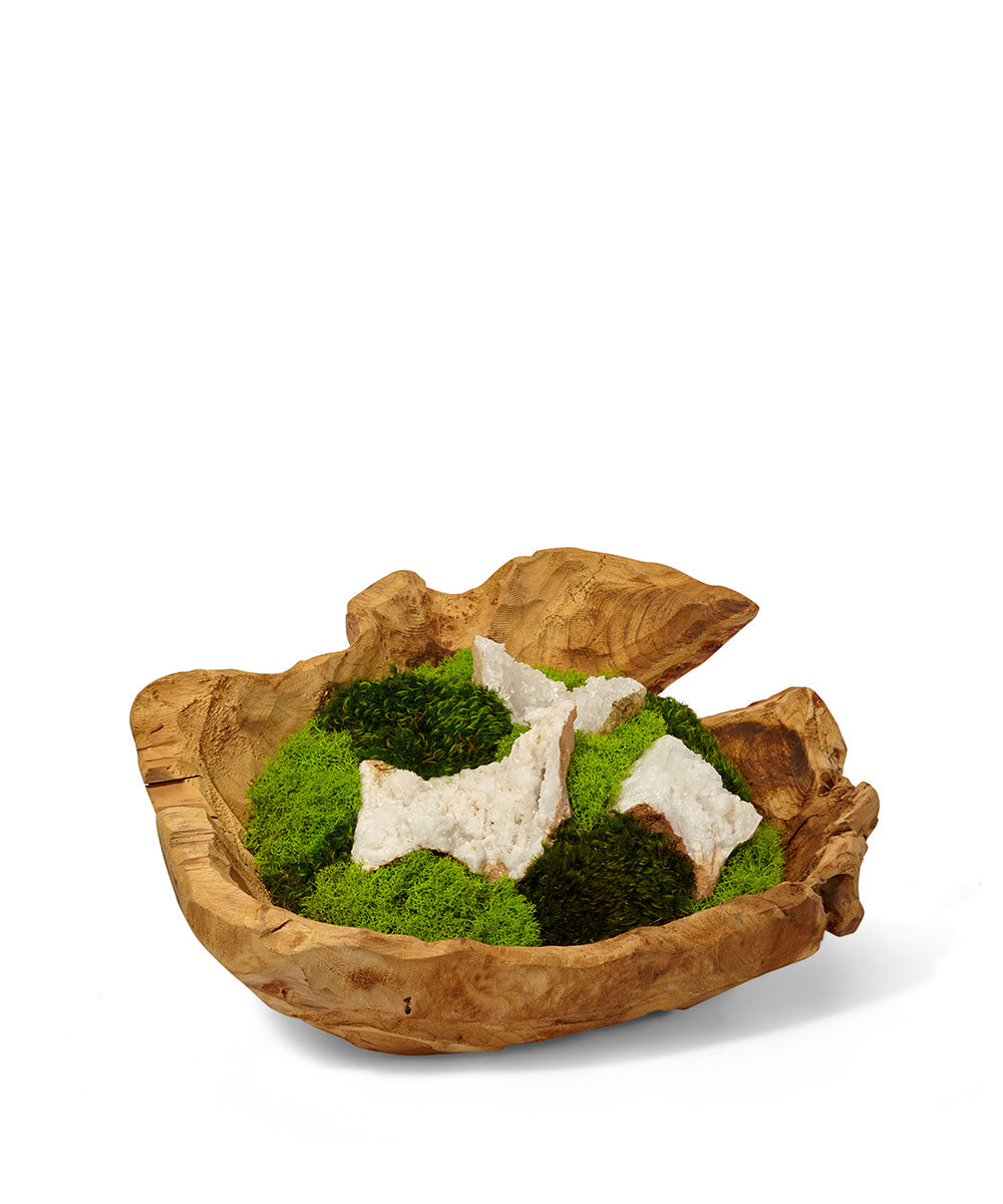 T&C Floral Company Home Decor Quartz Moss Garden in  Wood Bowl