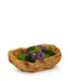 T&C Floral Company Home Decor Amethyst Moss Garden in  Wood Bowl