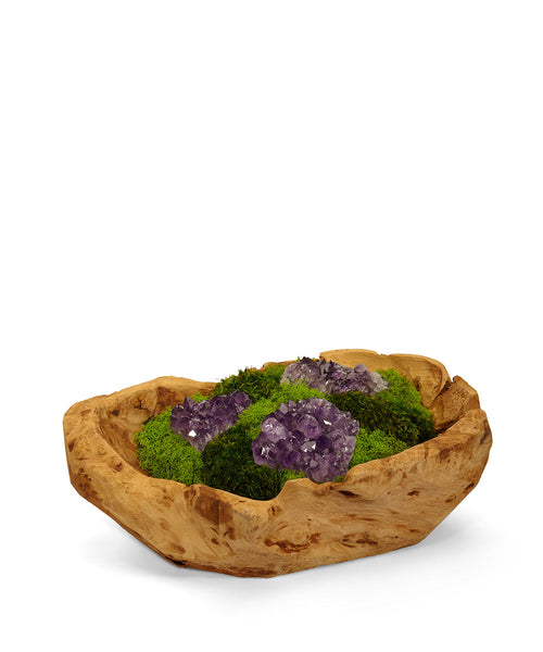 T&C Floral Company Home Decor Amethyst Moss Garden in  Wood Bowl