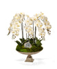 T&C Floral Company Home Decor White & Blue Calcite Orchid and Crystal in Large Silver Urn
