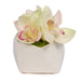 T&C Floral Company Home Decor White Orchid in Pod