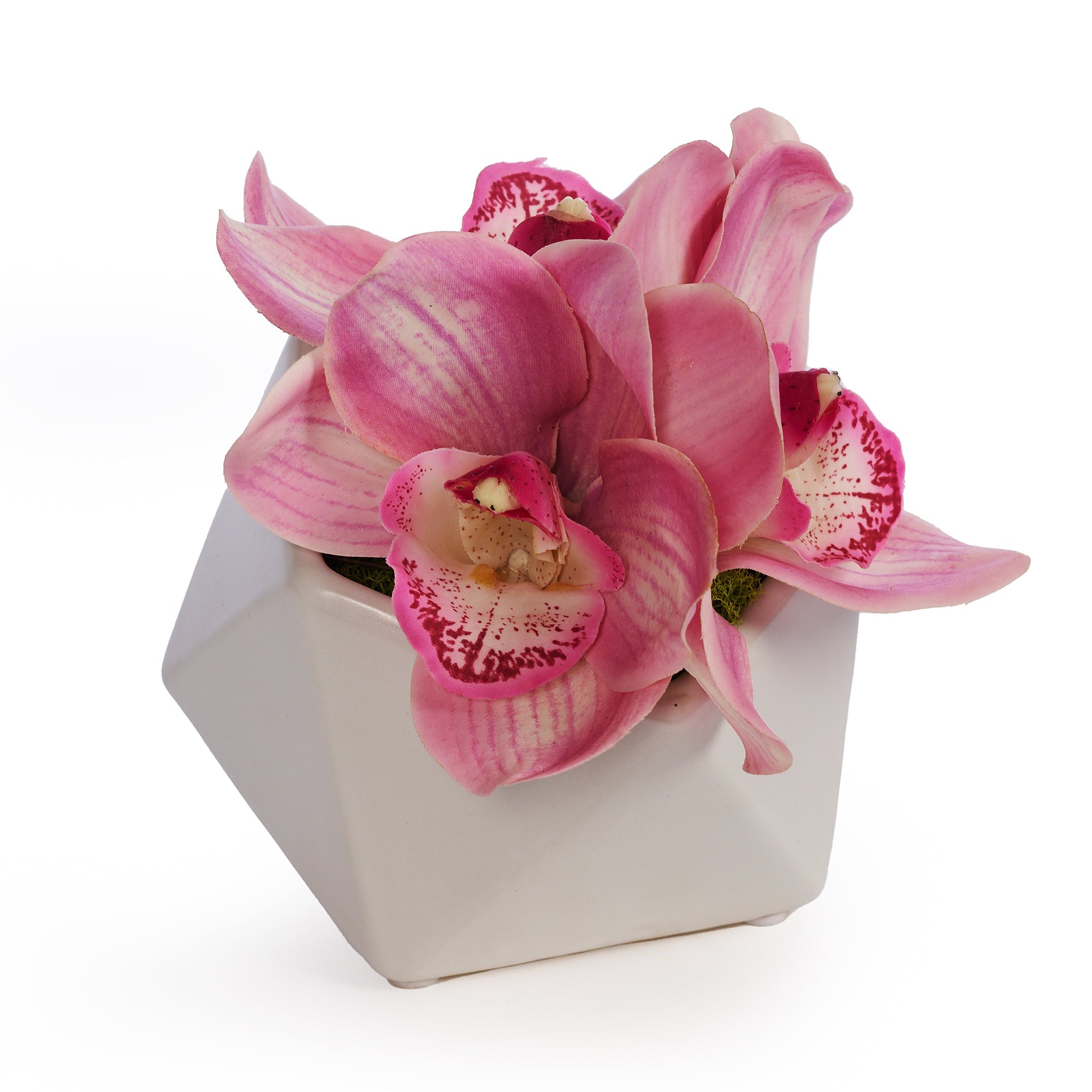 T&C Floral Company Home Decor Pink Orchid in Pod