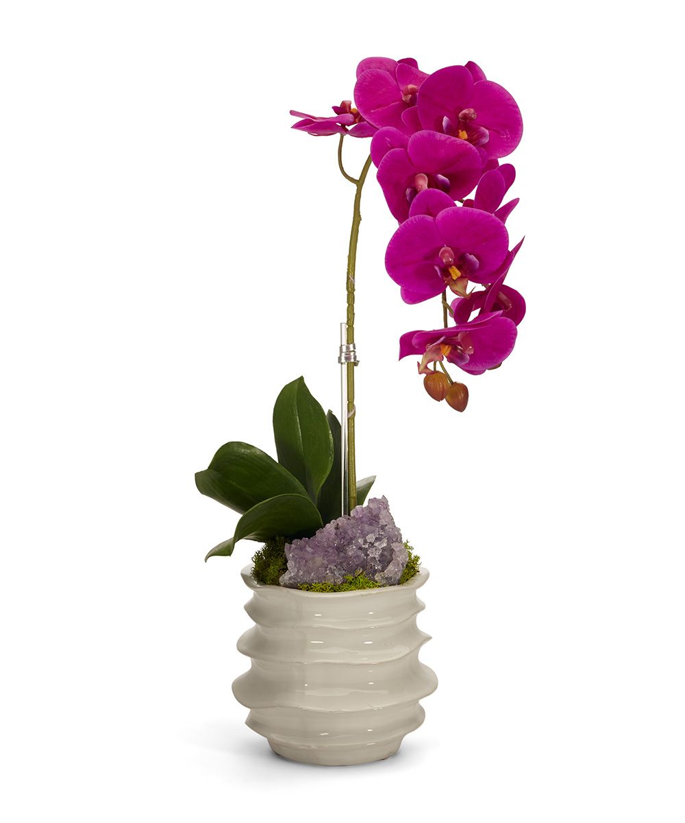 T&C Floral Company Home Decor Fuchsia with Amethyst Orchid in White Wavy Pot