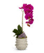T&C Floral Company Home Decor Fuchsia with Amethyst Orchid in White Wavy Pot