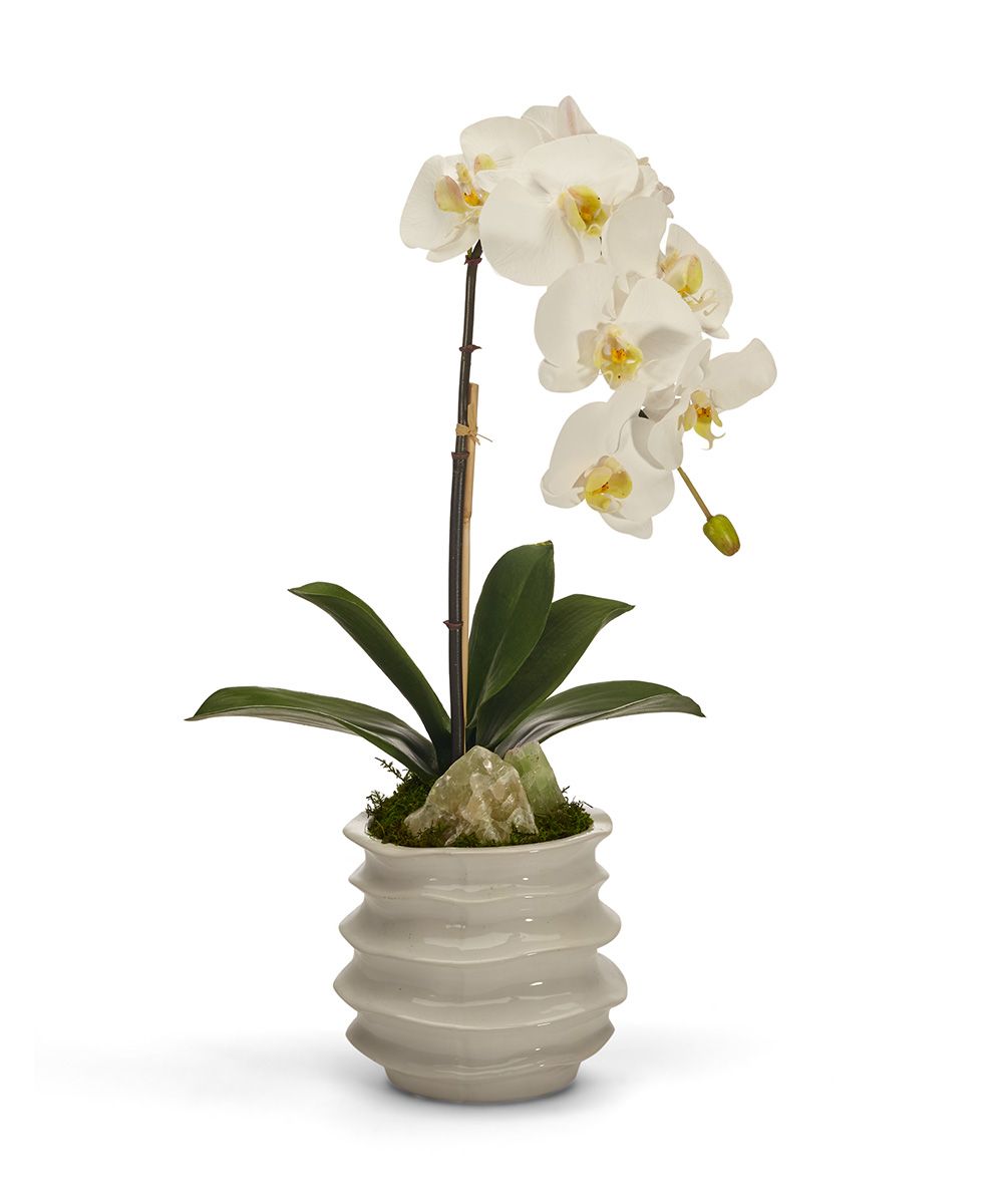 T&C Floral Company Home Decor White with Green Calcite Orchid in White Wavy Pot