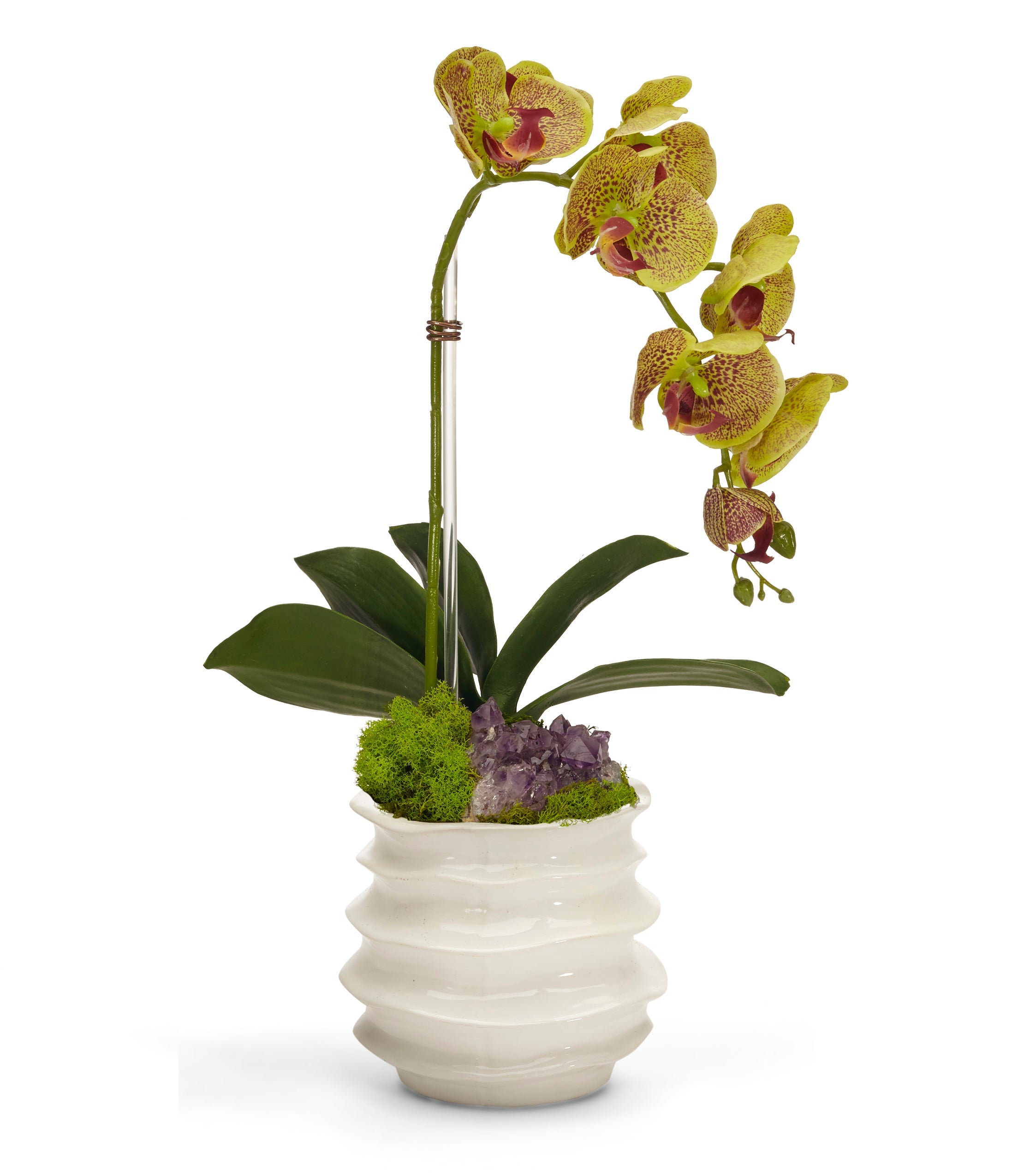 T&C Floral Company Home Decor Green with Amethyst Orchid in White Wavy Pot