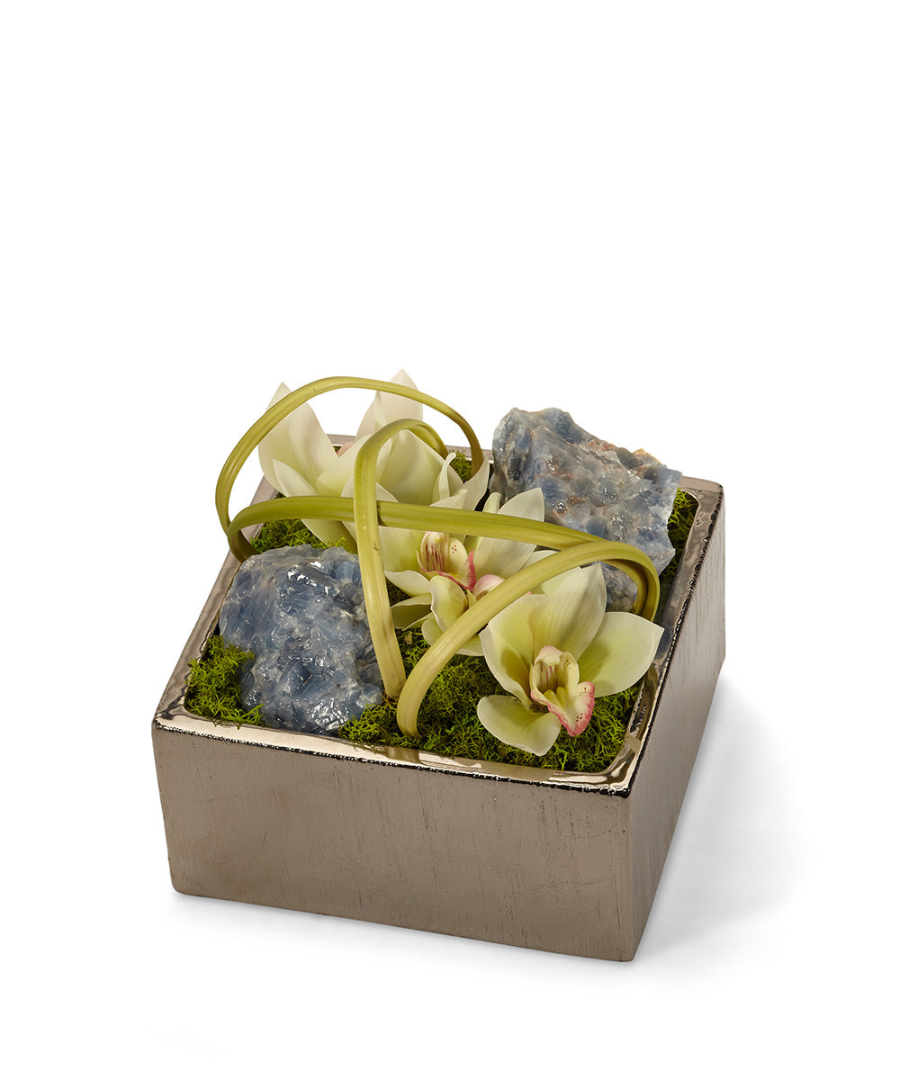 T&C Floral Company Home Decor Cream & Blue Calcite Orchid Table Top in Silver Square