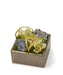 T&C Floral Company Home Decor Cream & Blue Calcite Orchid Table Top in Silver Square