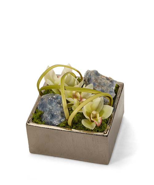 T&C Floral Company Home Decor Cream & Blue Calcite Orchid Table Top in Silver Square