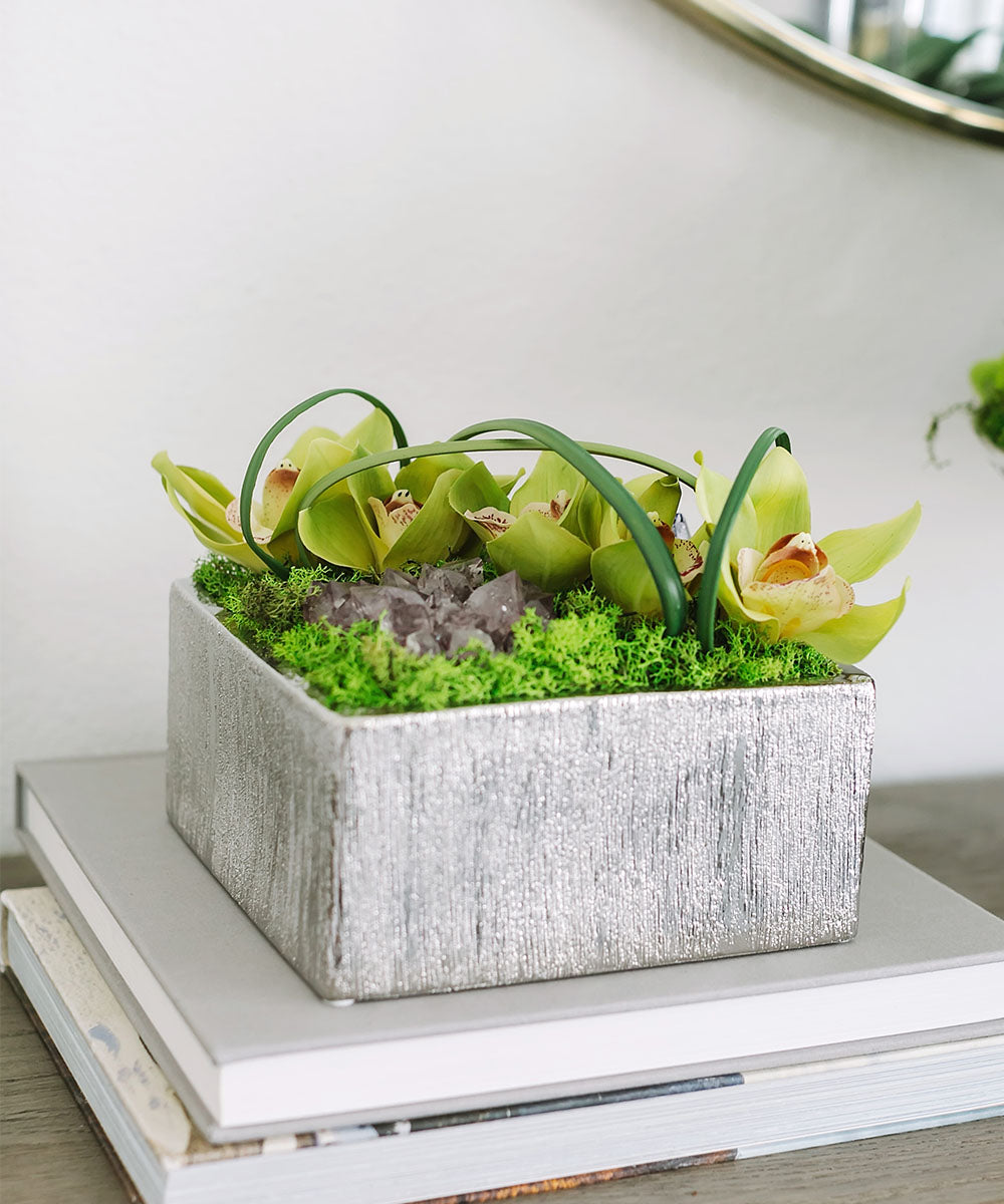 T&C Floral Company Home Decor Orchid Table Top in Silver Square