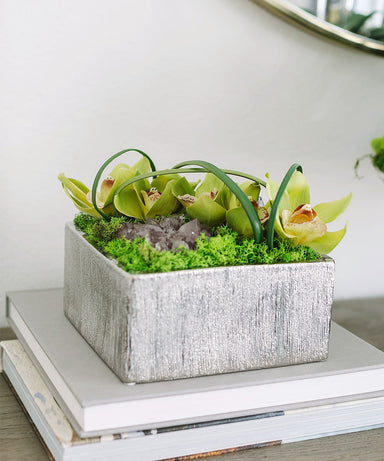 T&C Floral Company Home Decor Orchid Table Top in Silver Square