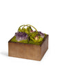 T&C Floral Company Home Decor Green & Amethyst Orchids in Bronze Square