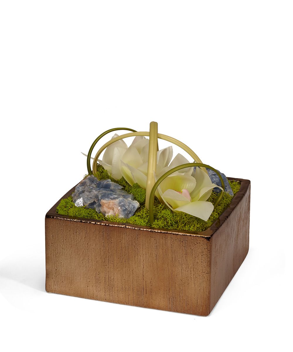 T&C Floral Company Home Decor Cream & Blue Orchids in Bronze Square