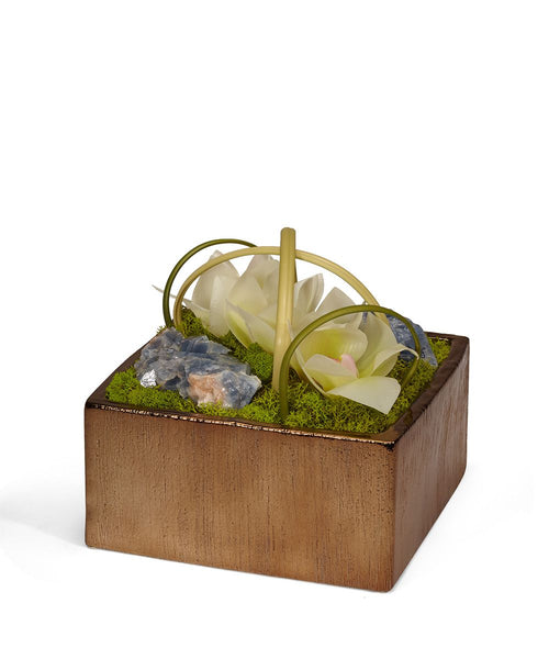 T&C Floral Company Home Decor Cream & Blue Orchids in Bronze Square