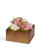 T&C Floral Company Home Decor Pink & Quartz Orchids in Bronze Square