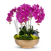 T&C Floral Company Home Decor Fuchsia Orchids in Gold Hammered Metal Bowl with Selenite & Agate Slabs