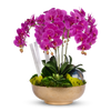 T&C Floral Company Home Decor Fuchsia Orchids in Gold Hammered Metal Bowl with Selenite & Agate Slabs