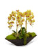 T&C Floral Company Home Decor Green Orchids in Large Metal Container