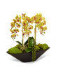 T&C Floral Company Home Decor Green Orchids in Large Metal Container