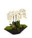 T&C Floral Company Home Decor White Orchids in Large Metal Container