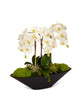 T&C Floral Company Home Decor White Orchids in Large Metal Container