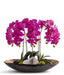 T&C Floral Company Home Decor Orchids in Mixed Metal Planter with Real Quartz Stone Fushica