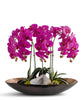 T&C Floral Company Home Decor Orchids in Mixed Metal Planter with Real Quartz Stone Fushica