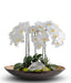 T&C Floral Company Home Decor Orchids in Mixed Metal Planter with Real Quartz Stone White