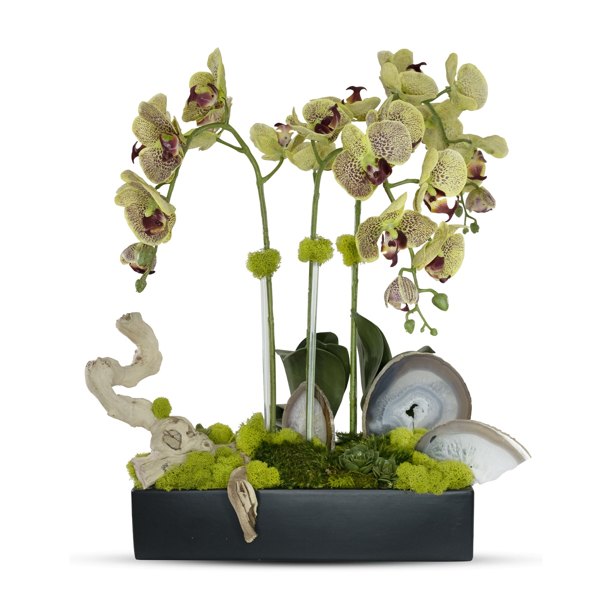 T&C Floral Company Home Decor Green w/ Agate Slabs Orchids in Rectangle Ceramic Container