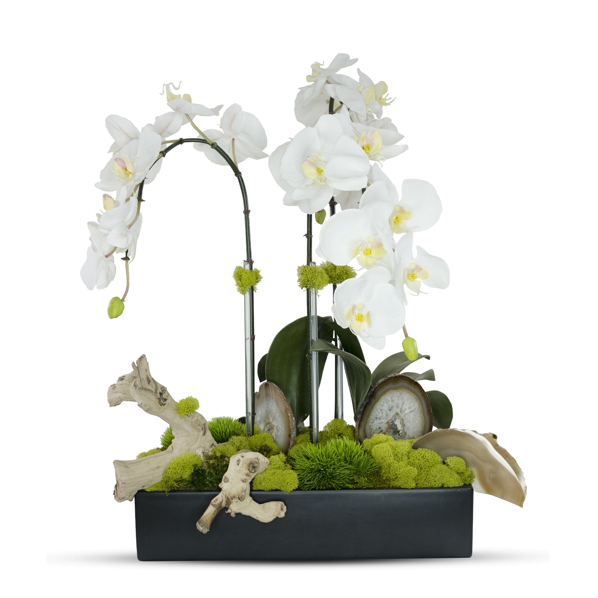 T&C Floral Company Home Decor White w/ Agate Slabs Orchids in Rectangle Ceramic Container