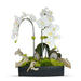 T&C Floral Company Home Decor White w/ Agate Slabs Orchids in Rectangle Ceramic Container
