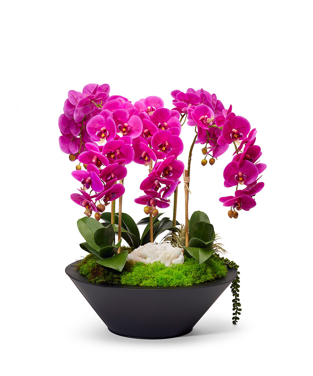 T&C Floral Company Home Decor Fuchsia Orchids in Sleek Round Container
