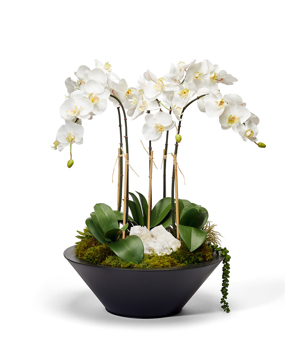 T&C Floral Company Home Decor White Orchids in Sleek Round Container