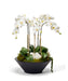 T&C Floral Company Home Decor White Orchids in Sleek Round Container