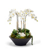 T&C Floral Company Home Decor White Orchids in Sleek Round Container
